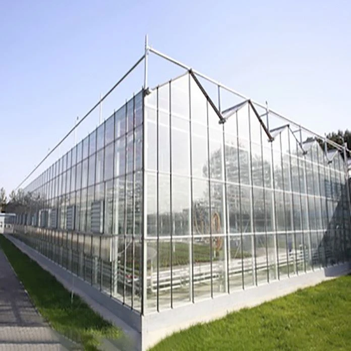Multi-span Polycarbonate Panel Greenhouse