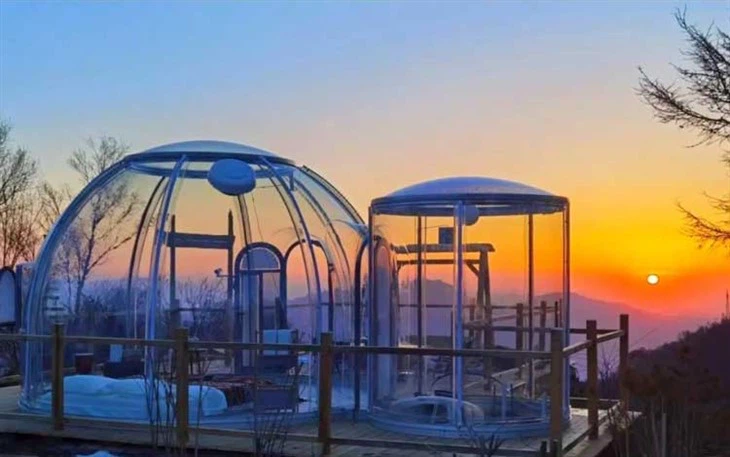 Clear Geodome House Kits